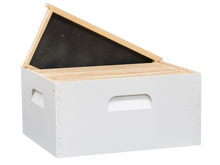 Load image into Gallery viewer, Apimaye Pura Fusion Hive - Double Brood- Two white color wood brood boxes with wood frames and foundations-Apimaye.