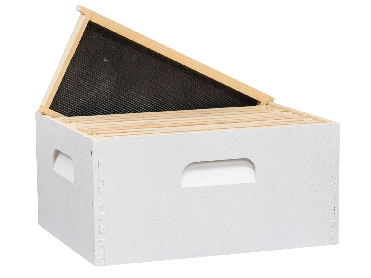 Pura Fusion Double Brood Wood Hive | Apimaye - Apimaye USA