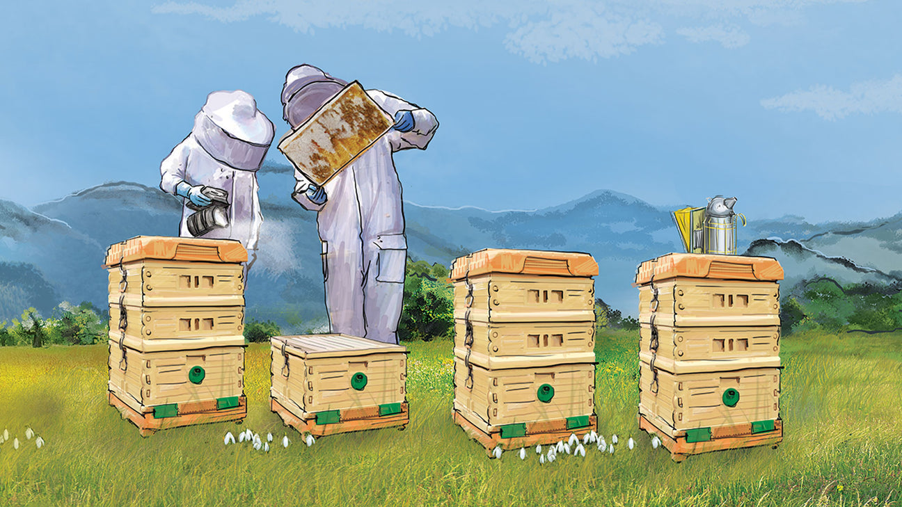 Tan Apimaye Ergo insulated beehive sets in a field with two beekeepers