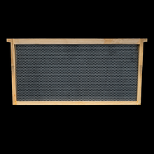 Load image into Gallery viewer, 10 Deep Assembled Wooden Frames with Double Wax Foundation (LOCAL PICKUP ONLY)