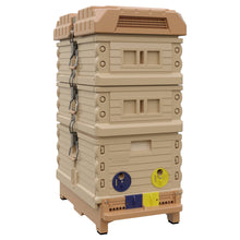 Load image into Gallery viewer, 7 Frame NUC White Medium Super- White- Showing Nuc hive and two Nuc medium super configuration.- Apimaye