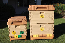 Load image into Gallery viewer, Apimaye Insulated 7 Frame Langstroth Nucleus Bee Hive Nuc- 7 frame Nuc and 10 frame Ergo size comparison - Apimaye