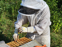 Load image into Gallery viewer, Apis Tactical Heavy Duty Beekeeping Gloves