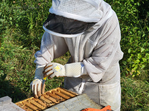 Apis Tactical Heavy Duty Beekeeping Gloves