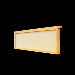 Medium Assembled Wooden Frames with Double Wax Foundation