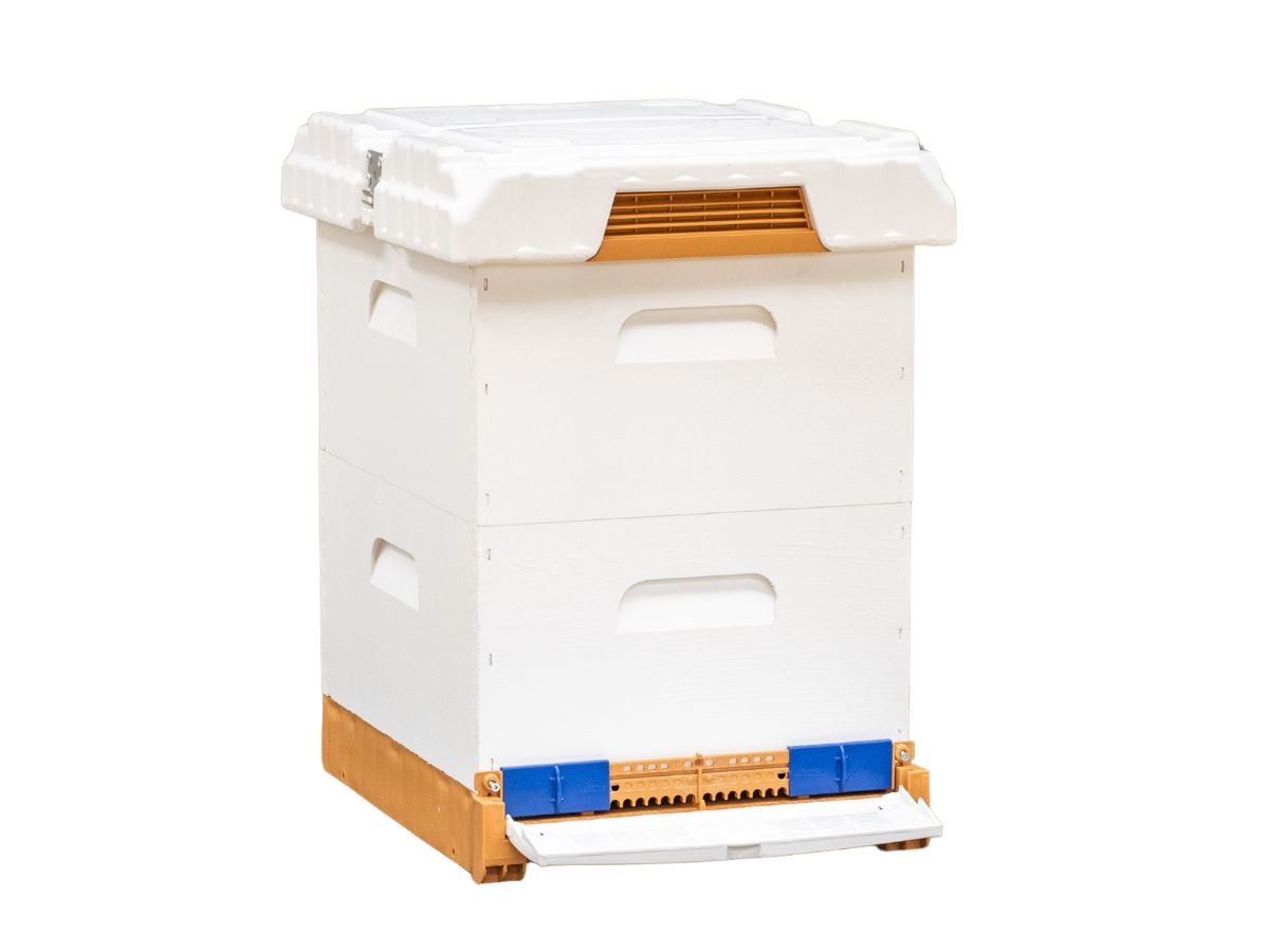 Complete Pura Fusion Wood Bee Hive Set | Apimaye - Apimaye USA