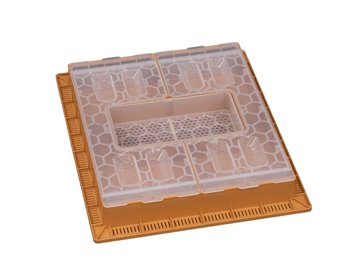 Api Nayed Apimaye Propola Fusion Hive - Complete Set - Apimaye USA