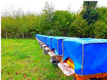 Load image into Gallery viewer, Apimaye WeatherShield Single Hive Cover for 10 Frames Hives