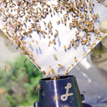 Load image into Gallery viewer, Honey Bee Sampling and Grafting Tray