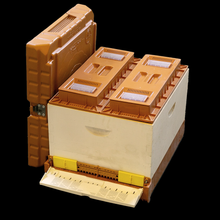 Load image into Gallery viewer, Apimaye Hive Upgrade Kit