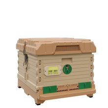 Load image into Gallery viewer, Ergo PLUS Single Brood Box Beehive Set .Tan color hive with green entrance- Apimaye