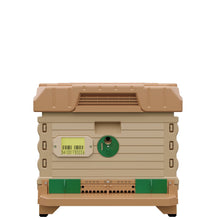 Load image into Gallery viewer, Ergo PLUS Single Brood Box Beehive Set. Tan color hive with green entrance-Apimaye