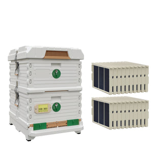 Ergo Double Brood Box Beehive Set. White hive with green entrance, white deep super with green round entrance, including pro frames and foundations. - Apimaye.