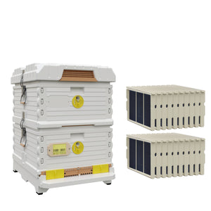 Ergo Double Brood Box Beehive Set. White hive with yellow entrance, white deep super with yellow round entrance, including pro frames and foundations.- Apimaye.