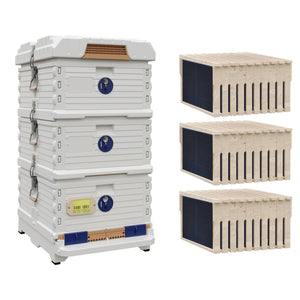 Ergo Plus White Simplicity Honey & Brood Beehive Set. White hive with blue entrance, two white deep super with blue round entrance. including wood frames and foundations.- Apimaye.