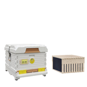 Apimaye Ergo White Hive with Wood Frames and Foundations. White hive with yellow entrance.- Apimaye.