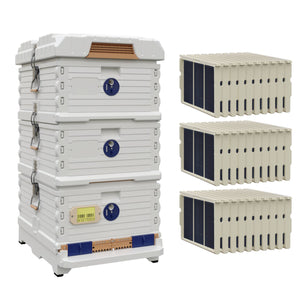 Ergo Plus White Simplicity Honey & Brood Beehive Set With Pro Fames and Foundations. White hive with blue entrance, two white deep super with blue round entrance - Apimaye
