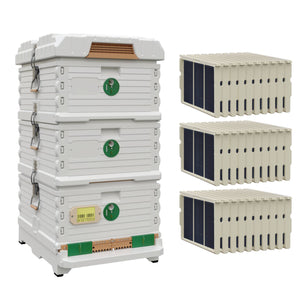 Ergo Plus White Simplicity Honey & Brood Beehive Set. White hive with green entrance, two white deep super with green round entrance, including pro frames and foundations. - Apimaye