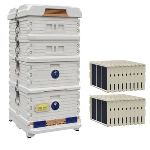 Ergo Plus White Honey & Brood Beehive Set. White hive with blue entrance, white deep super with blue round entrance, including pro frames and foundations for brood boxes, two white medium supers. - Apimaye