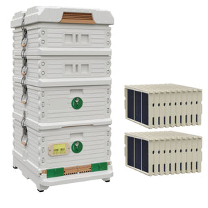 Ergo Plus White Honey & Brood Beehive Set. White hive with green entrance, white deep super with green round entrance, including pro frames and foundations, two white medium supers. - Apimaye