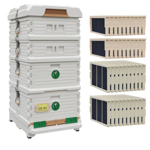 Ergo Plus White Honey & Brood Beehive Set. White hive with green entrance, white green round entrance, including pro frames and foundations, two white medium supers with wood frame and foundations. - Apimaye
