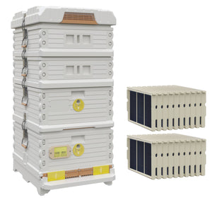 Ergo Plus White Honey & Brood Beehive Set. White hive with yellow entrance, white deep super with yellow round entrance, including pro frames and foundations for brood boxes, two medium white supers.- Apimaye