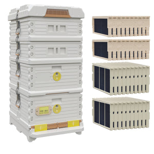 Ergo Plus White Honey & Brood Beehive Set. White hive with yellow entrance, including pro frames and foundations, two white medium supers with wood frames and foundations.- Apimaye