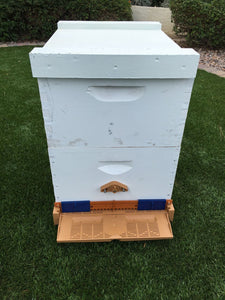 10 Frame Screen Bottom Board With Bottom Tray & Pollen Trap - Apimaye USA