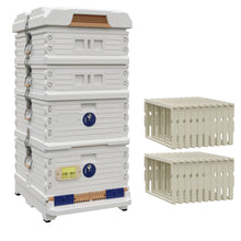 Load image into Gallery viewer, Ergo Plus White Honey &amp; Brood Beehive  Set. White color hive with blue entrance, white color deep super with blue round entrance, additional  pro frames for brood boxes, two white medium supers- Apimaye