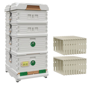 Ergo Plus White Honey & Brood Beehive Set.  White hive with green entrance, white deep super with green round entrance, including pro frames for brood boxes, two white  medium supers  - Apimaye